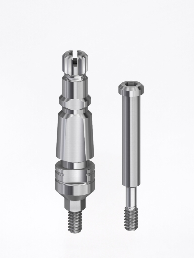 Transfer Internal Hex USA / Internal Hex MI