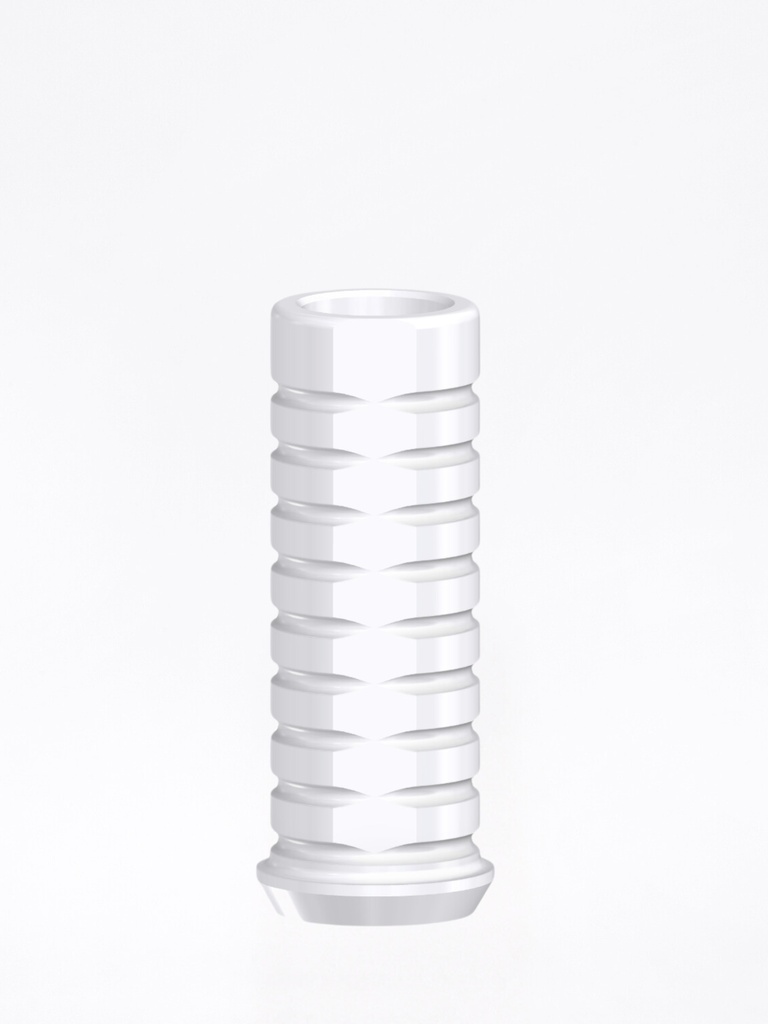 Calcinabile External Hex Universal