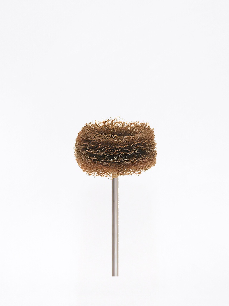 Keystone Scotch Brite™