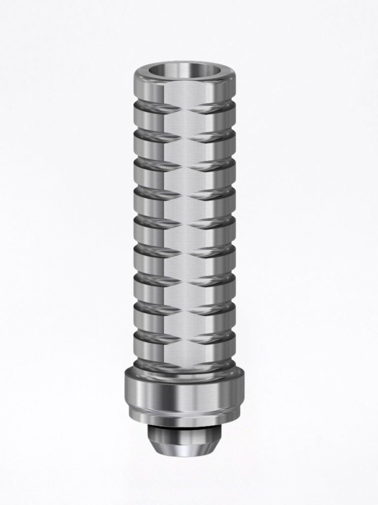 Abutment provvisorio Internal CAM