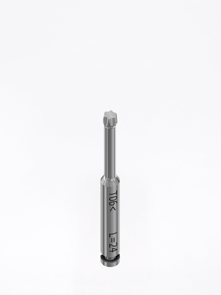 Cacciavite Torx® 06