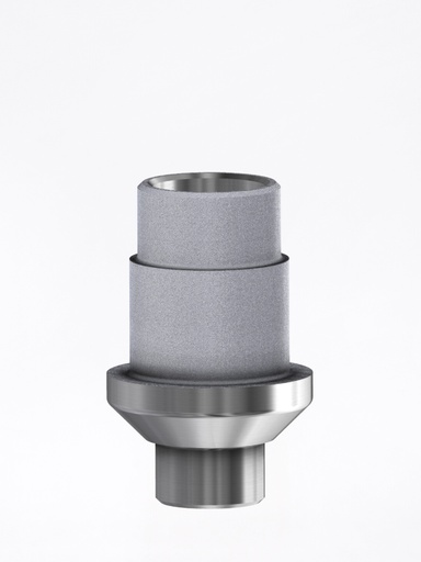 Ti Base Internal SEM