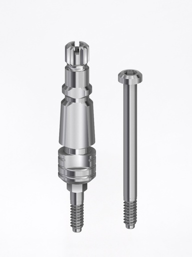 Transfer Internal Hex "Click"