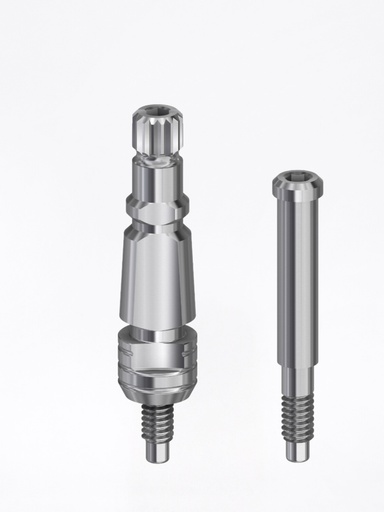 Transfer External Hex BH