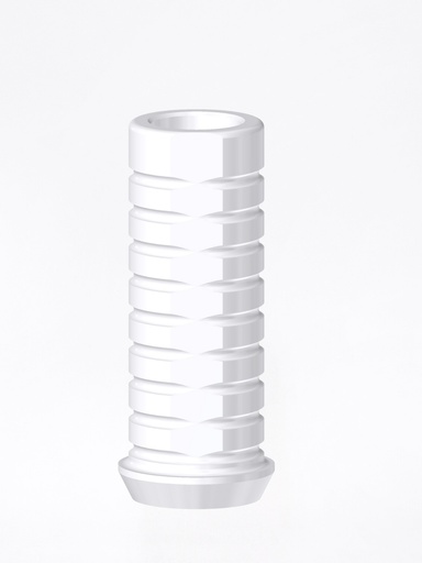 Calcinabile External Hex BH